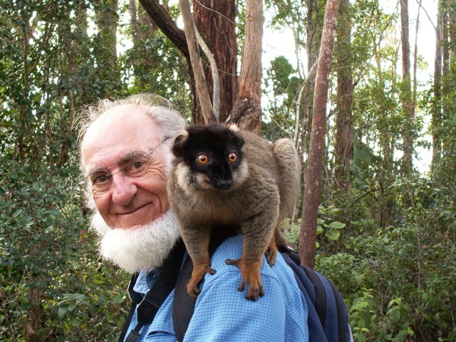 The Great Red Island: Unusual Facts about Madagascar