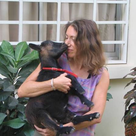 International Animal Rescue in the Time of Scams & AI